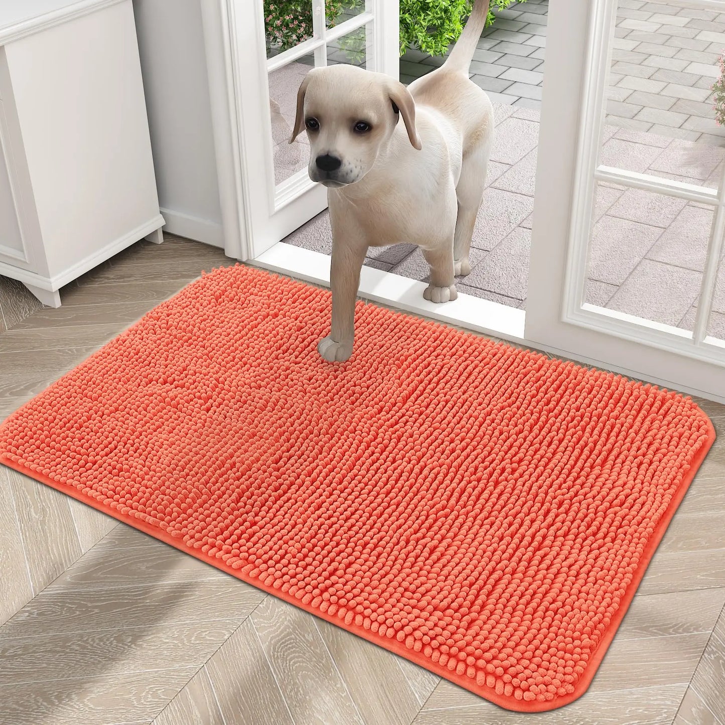 Olanly Mud Absorbent Dog Door Mat – Non-Slip & Washable