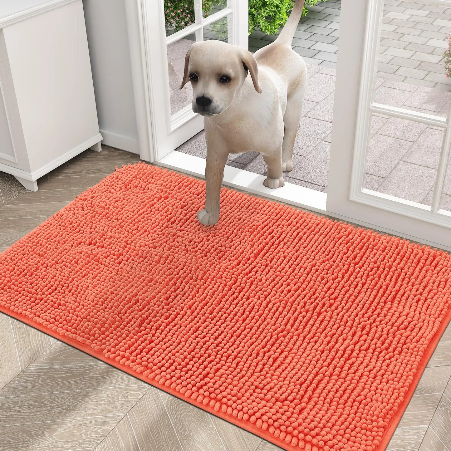 Olanly Mud Absorbent Dog Door Mat – Non-Slip & Washable